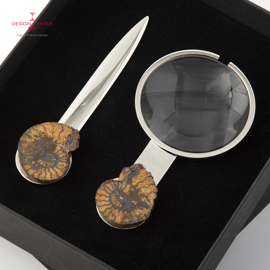 Set Lente e Tagliacarte con ammoniti autentiche - Collezione Fossiline