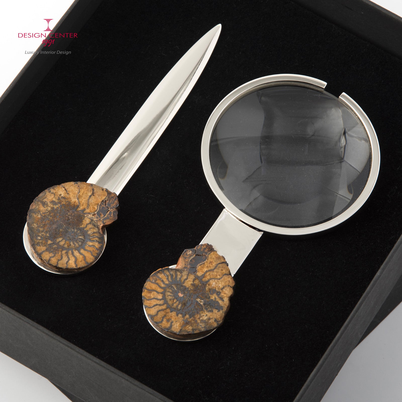Set Lente e Tagliacarte con ammoniti autentiche - Collezione Fossiline