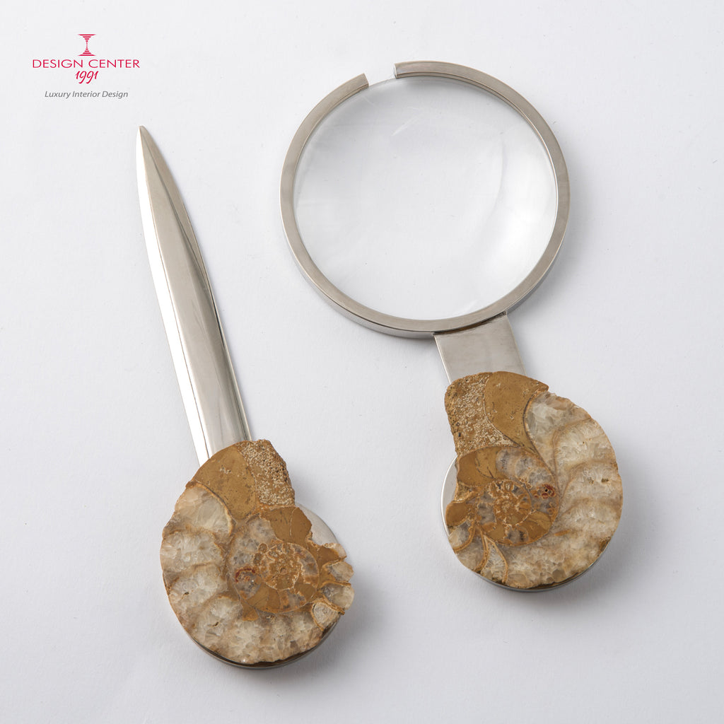 Set Lente e Tagliacarte con ammoniti inglesi - Collezione Fossiline