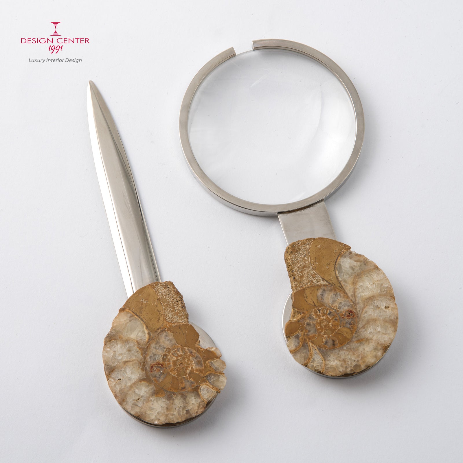 Set Lente e Tagliacarte con ammoniti inglesi - Collezione Fossiline