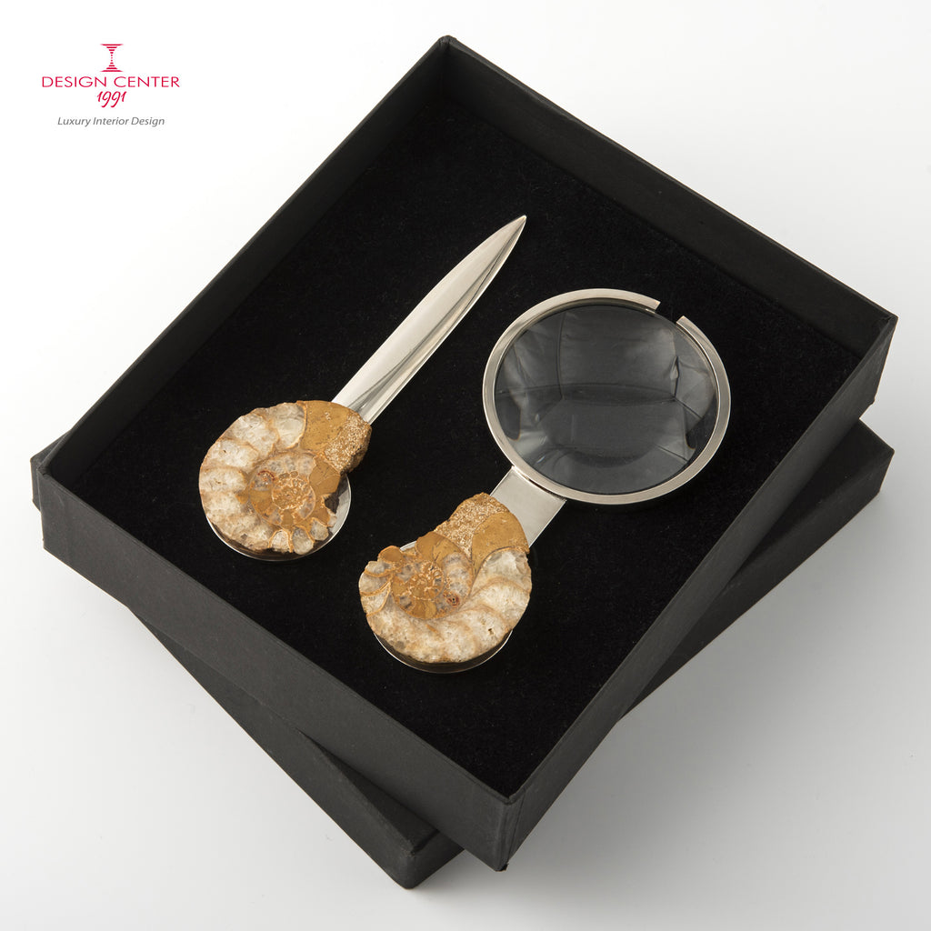 Set Lente e Tagliacarte con ammoniti inglesi - Collezione Fossiline