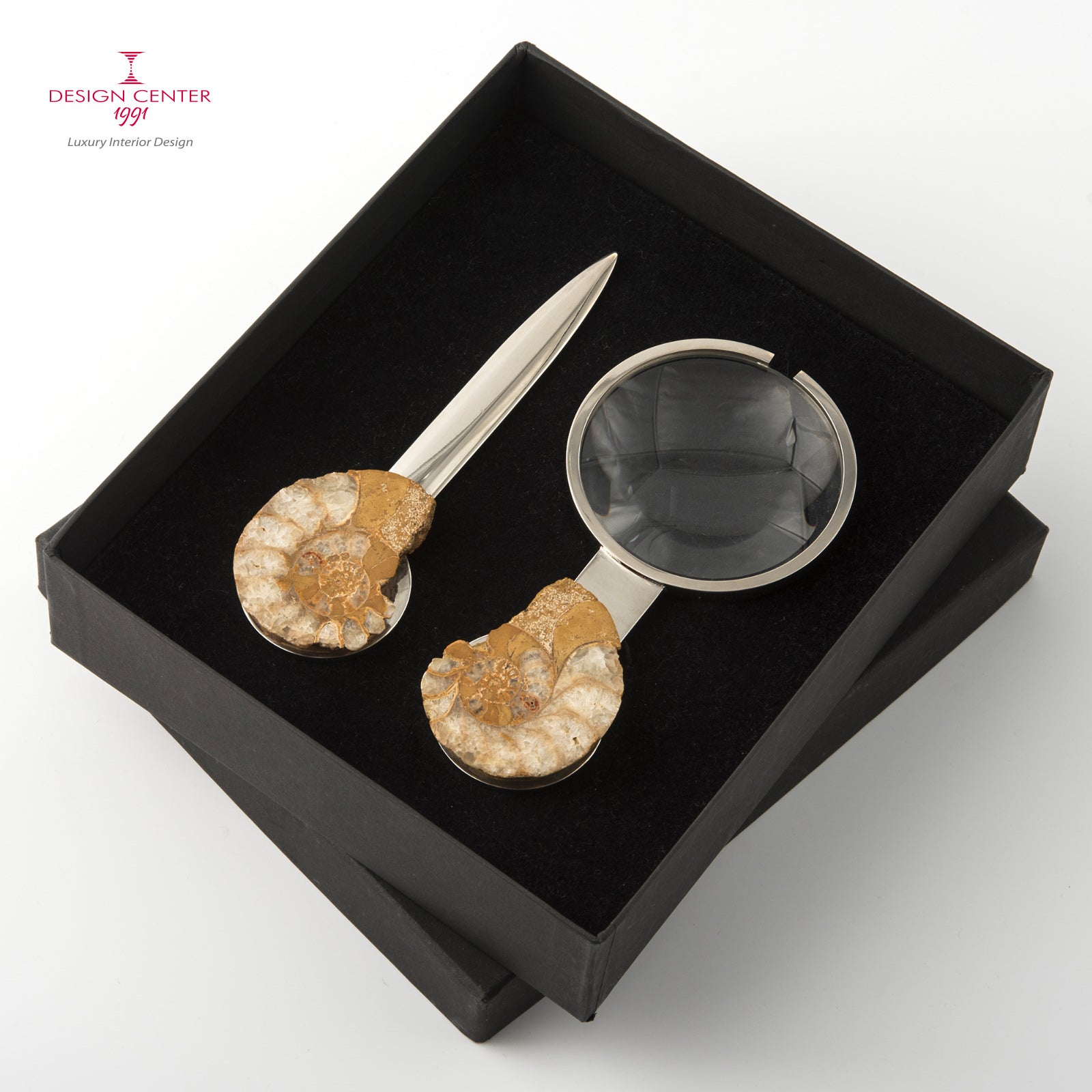 Set Lente e Tagliacarte con ammoniti inglesi - Collezione Fossiline