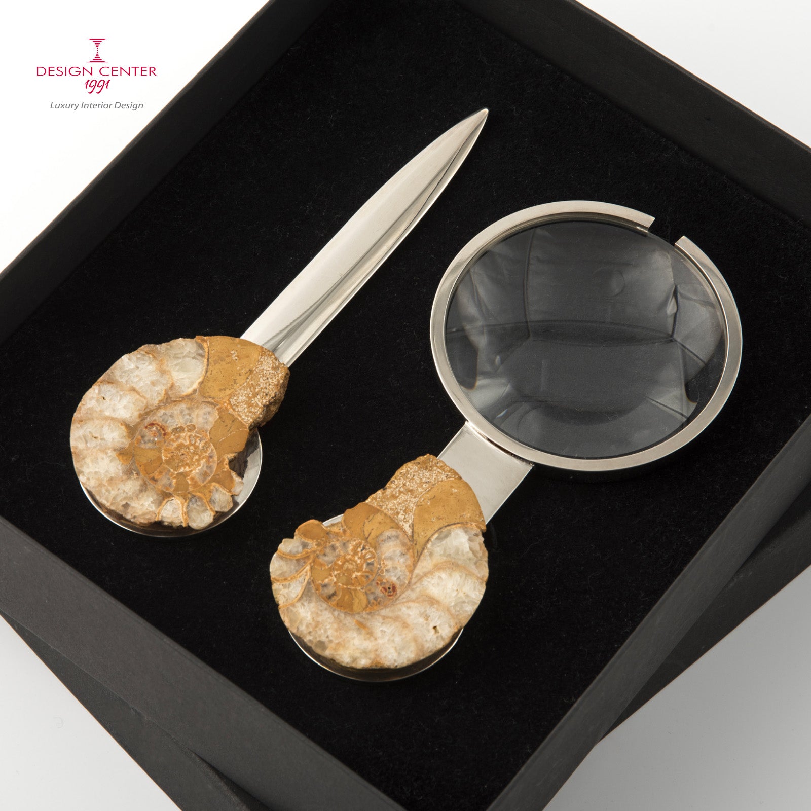 Set Lente e Tagliacarte con ammoniti inglesi - Collezione Fossiline