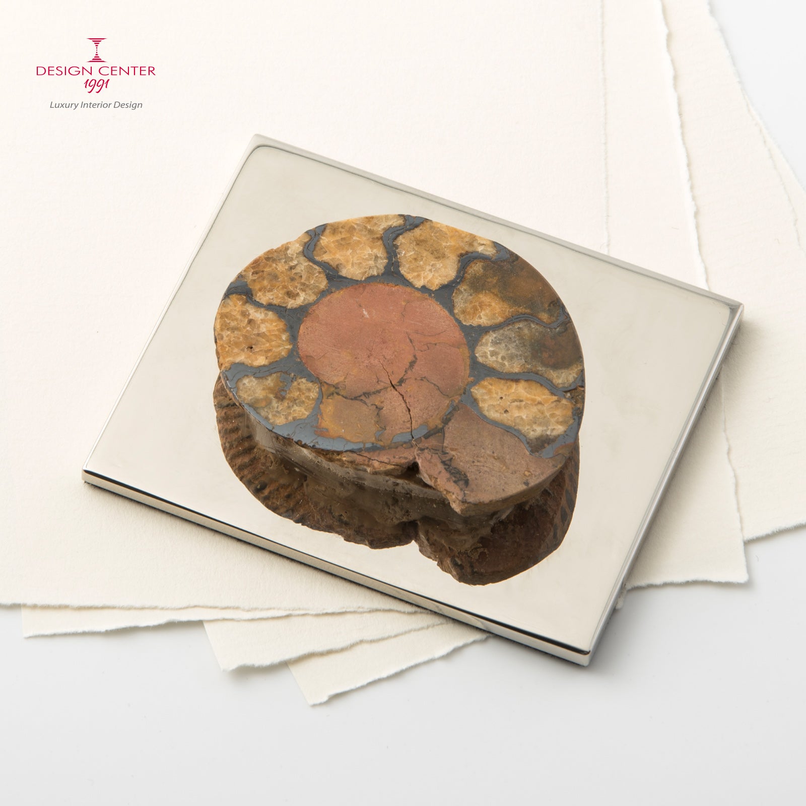 Fermacarte con ammonite autentica #1 - Collezione Fossiline