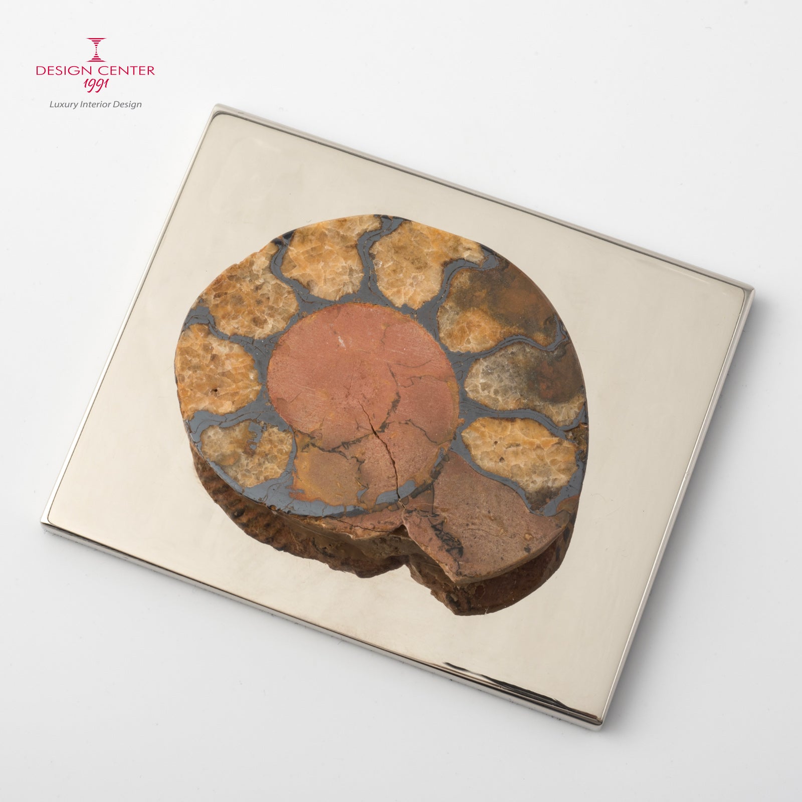 Fermacarte con ammonite autentica #1 - Collezione Fossiline