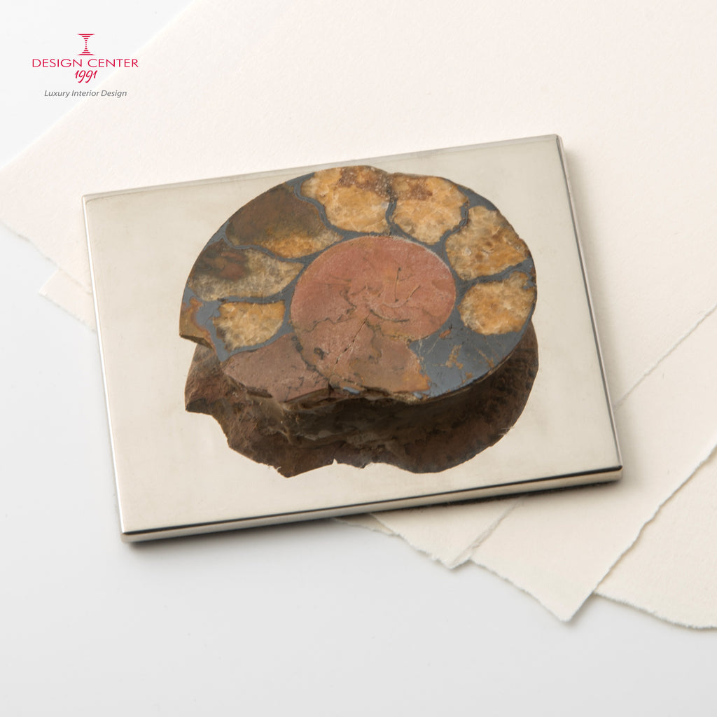Fermacarte con ammonite autentica #2 - Collezione Fossiline