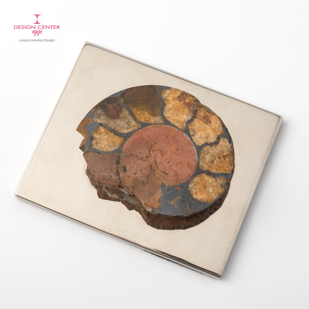 Fermacarte con ammonite autentica #2 - Collezione Fossiline
