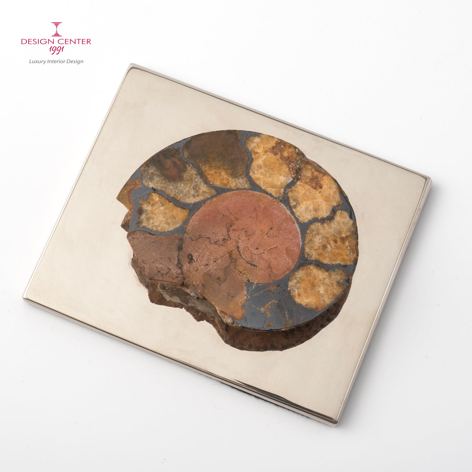 Fermacarte con ammonite autentica #2 - Collezione Fossiline