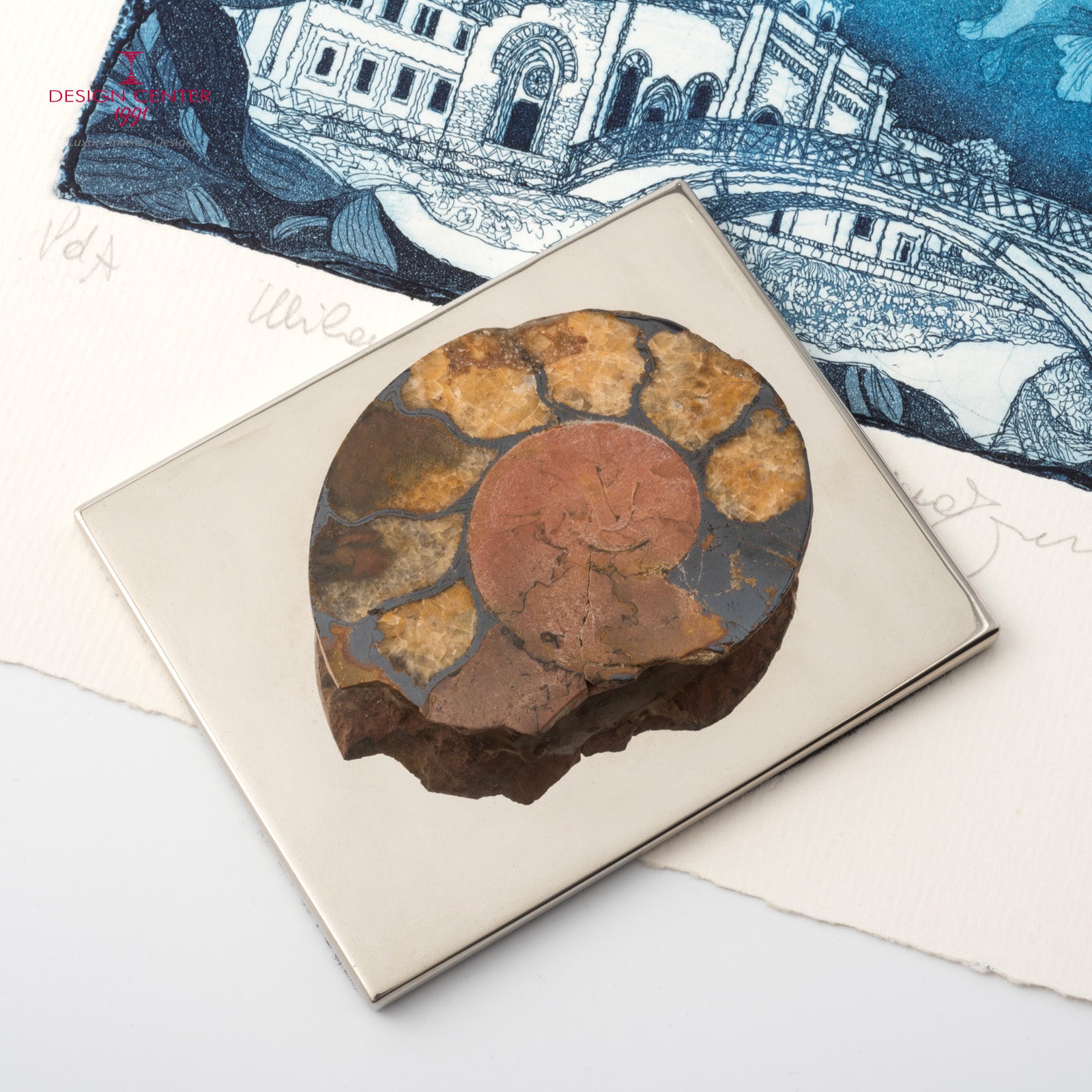 Fermacarte con ammonite autentica #2 - Collezione Fossiline