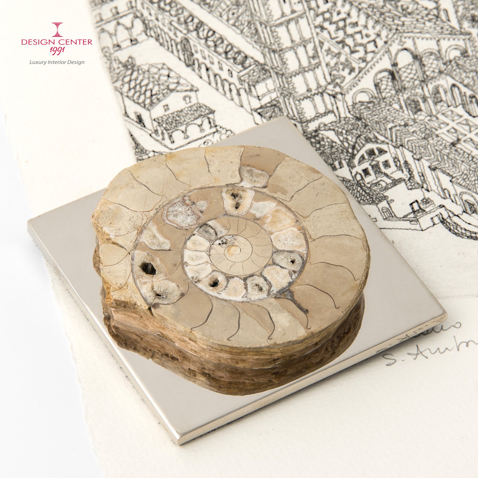 Fermacarte con ammonite tondeggiante noce chiaro #1 - Collezione Fossiline