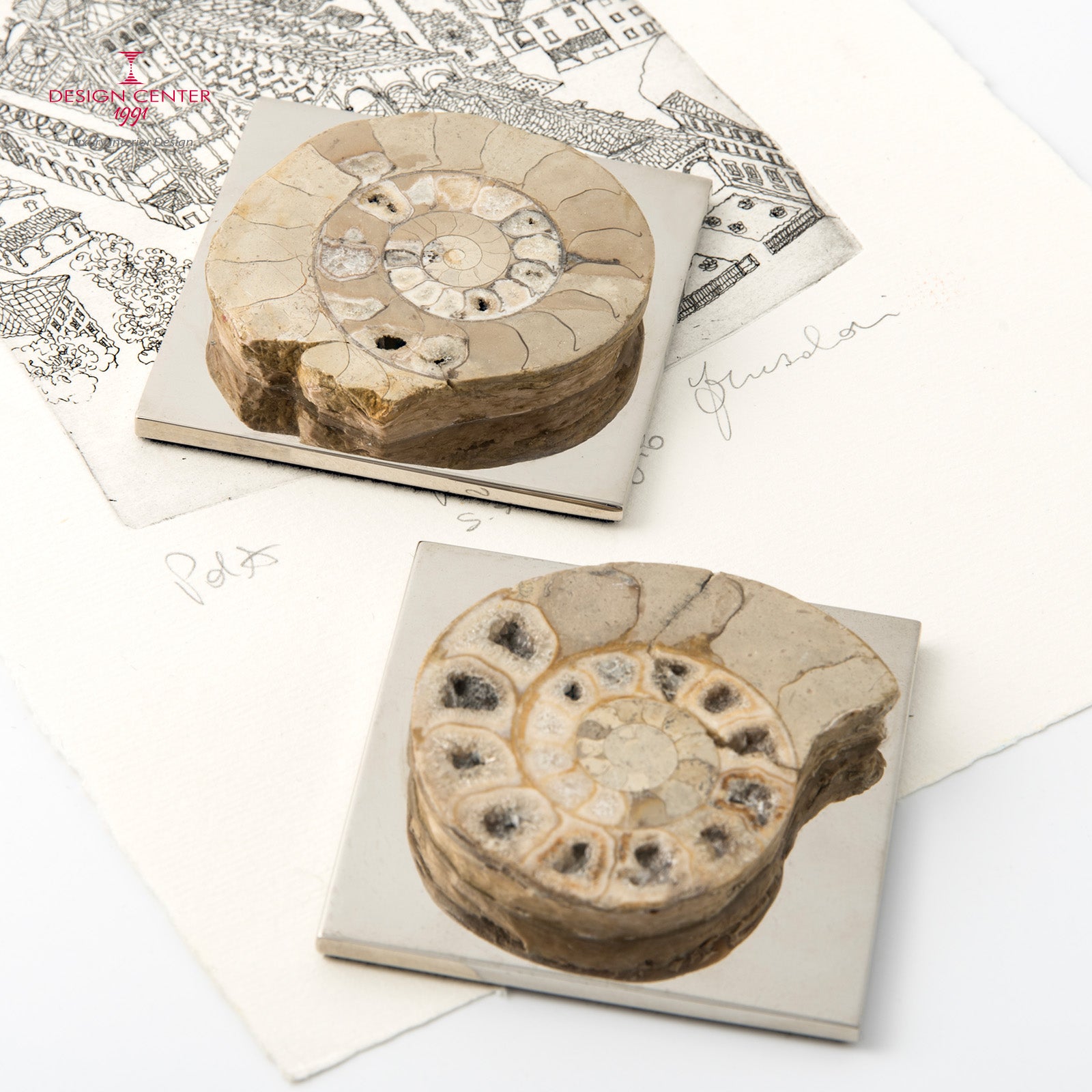 Fermacarte con ammonite forma ovale noce chiaro  #2 - Collezione Fossiline