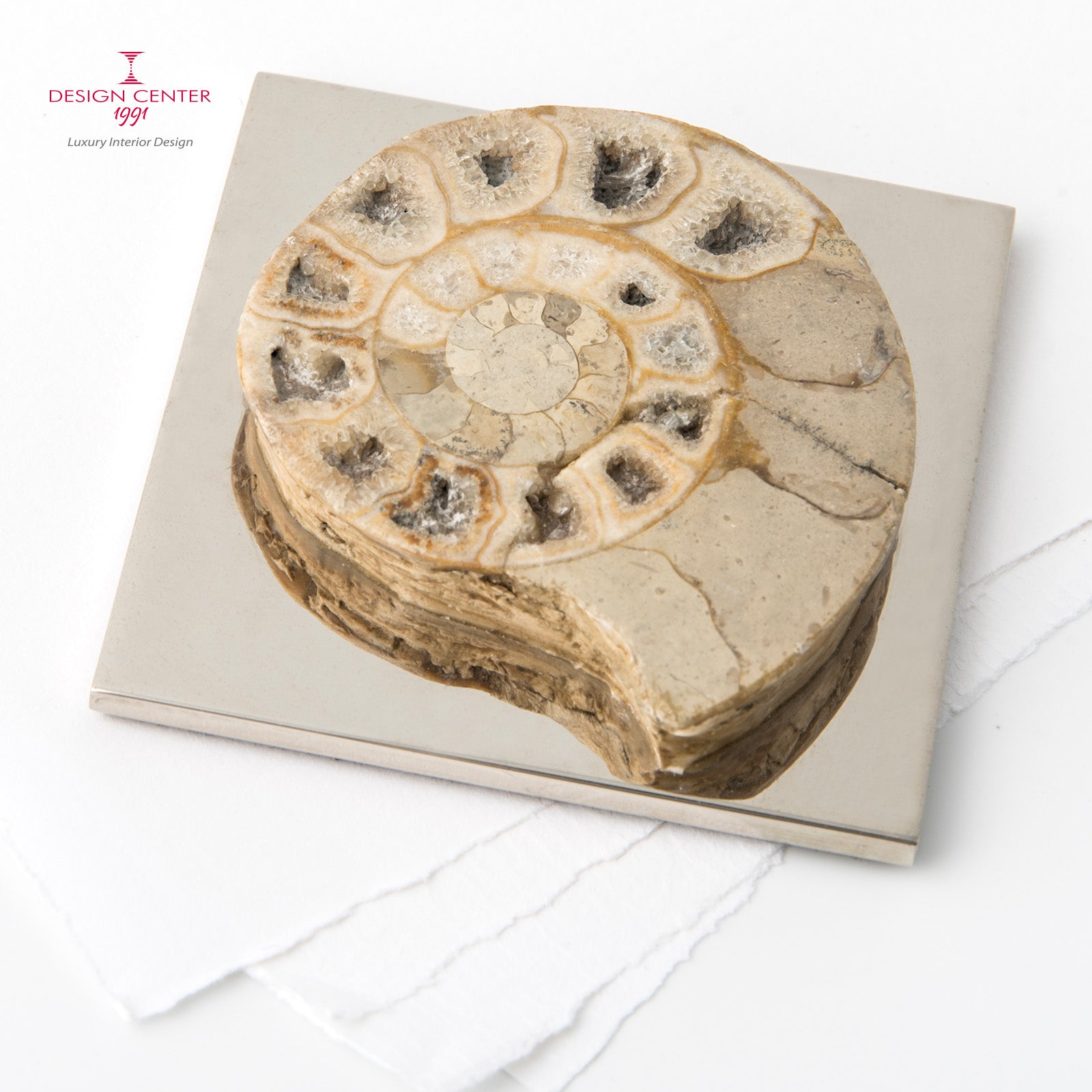Fermacarte con ammonite forma ovale noce chiaro  #2 - Collezione Fossiline