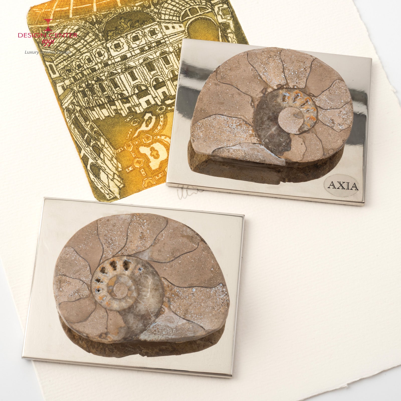 Fermacarte con ammonite originale #2 - Collezione Fossiline di Nino Basso