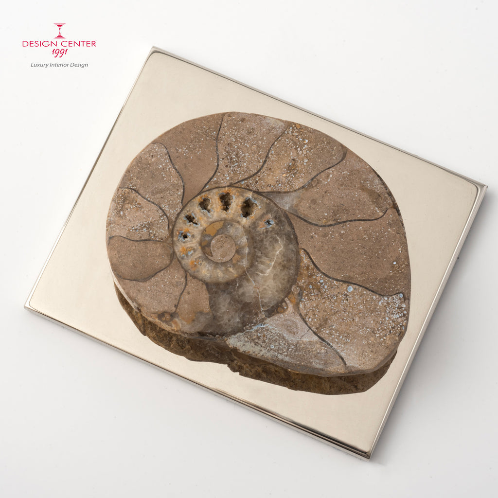 Fermacarte con ammonite originale  #1 - Collezione Fossiline di Nino Basso