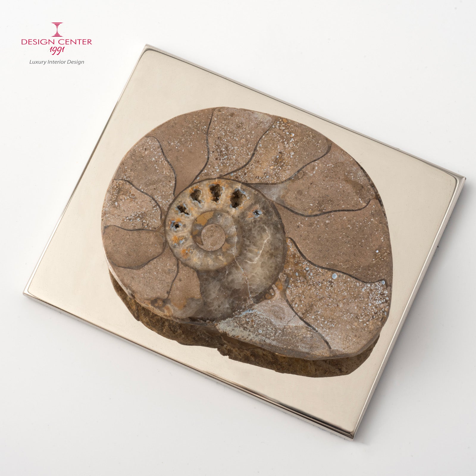 Fermacarte con ammonite originale  #1 - Collezione Fossiline di Nino Basso