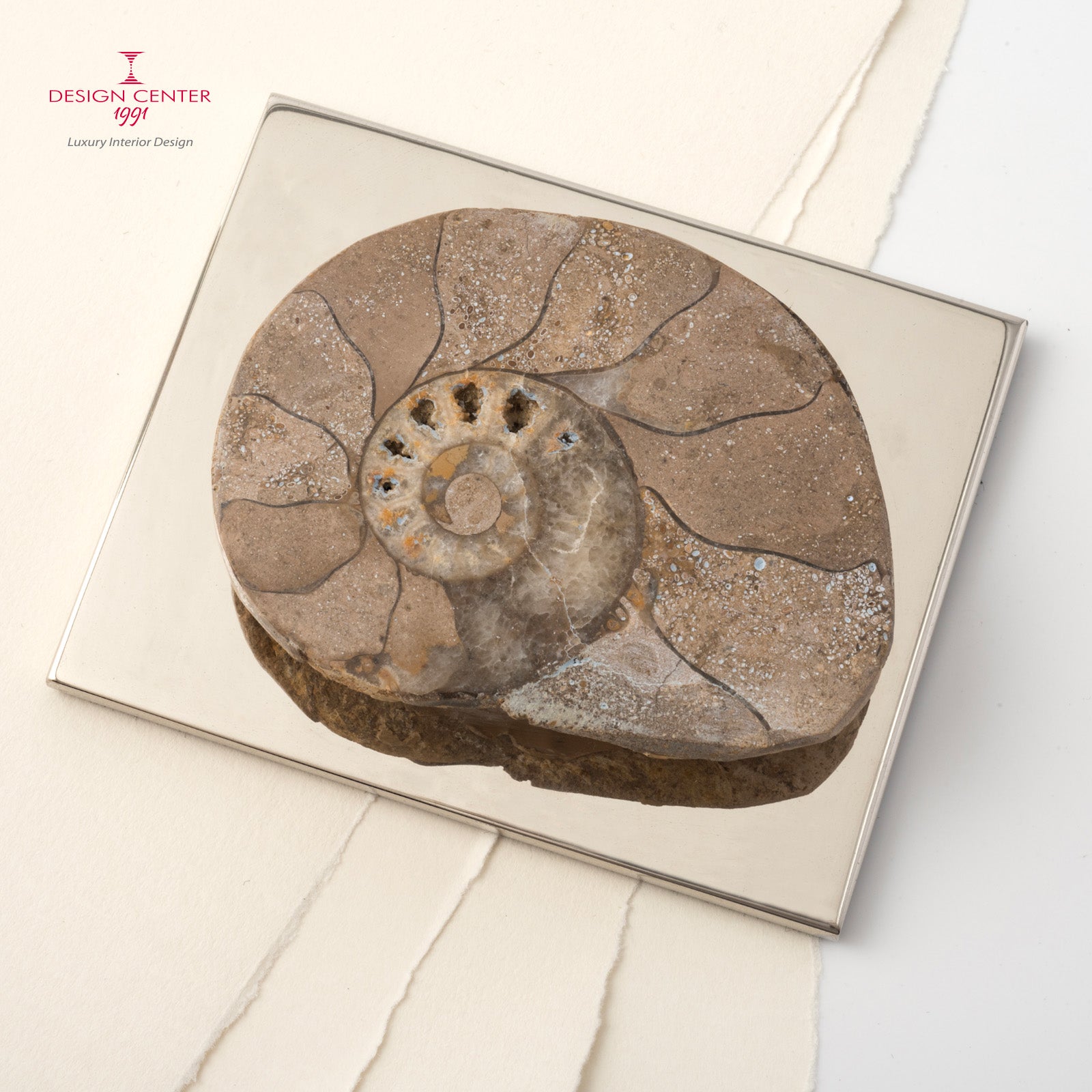 Fermacarte con ammonite originale  #1 - Collezione Fossiline di Nino Basso