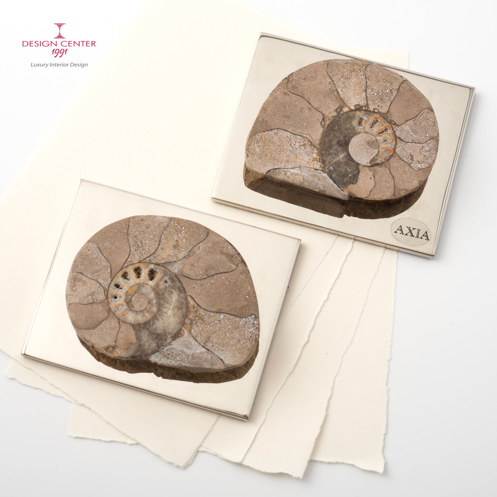 Fermacarte con ammonite originale  #1 - Collezione Fossiline di Nino Basso