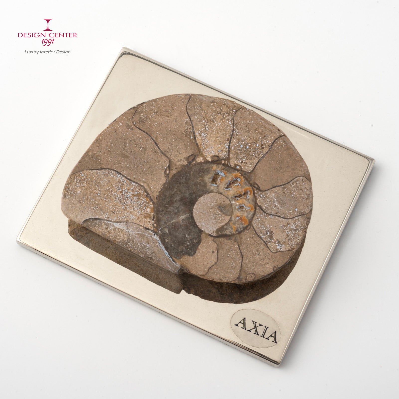 Fermacarte con ammonite originale #2 - Collezione Fossiline di Nino Basso