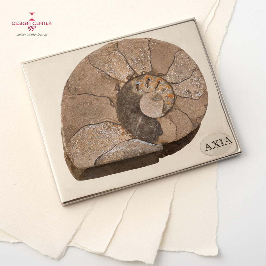 Fermacarte con ammonite originale #2 - Collezione Fossiline di Nino Basso