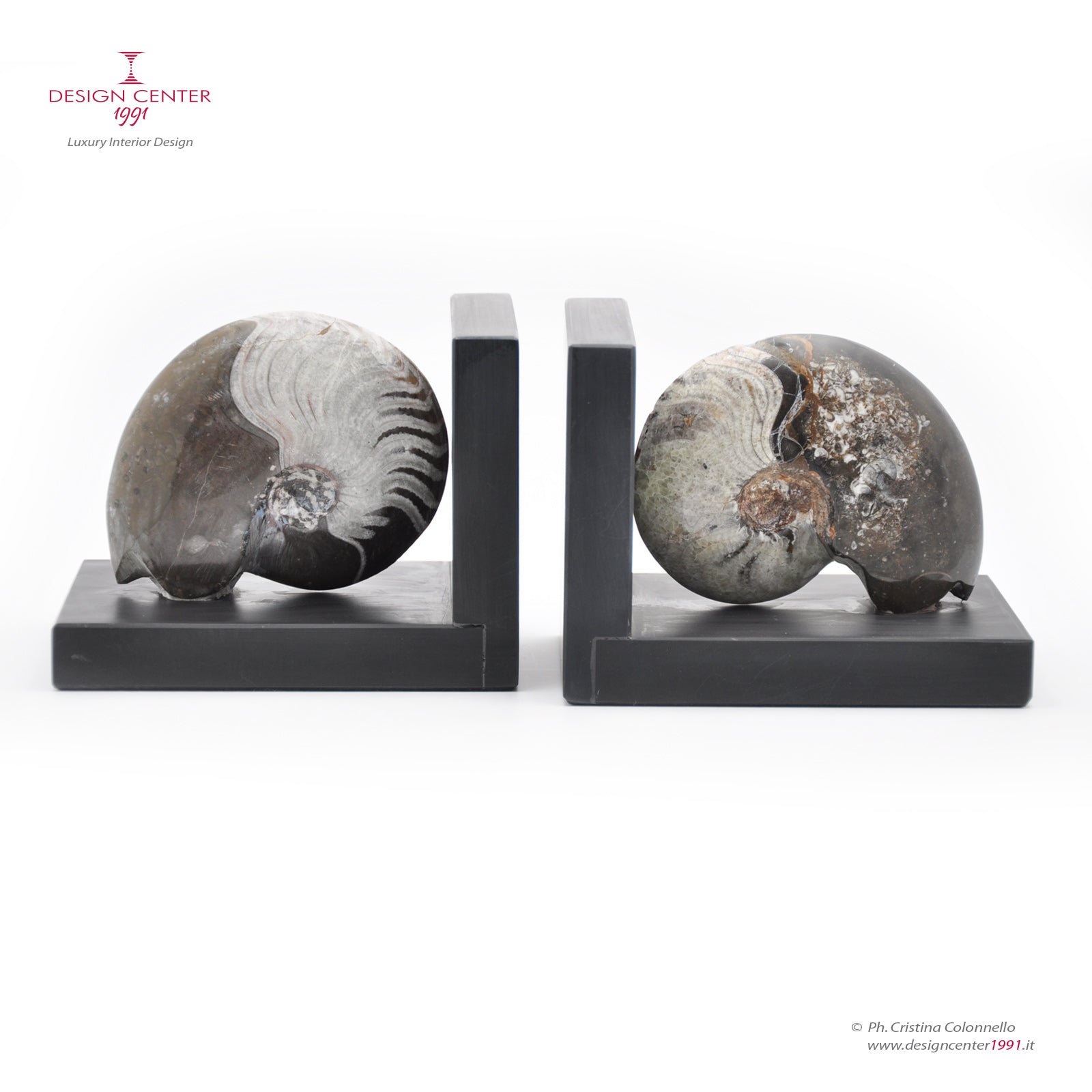 Coppia reggilibri "Fossiline" - ammoniti  autentiche su ardesia lucida