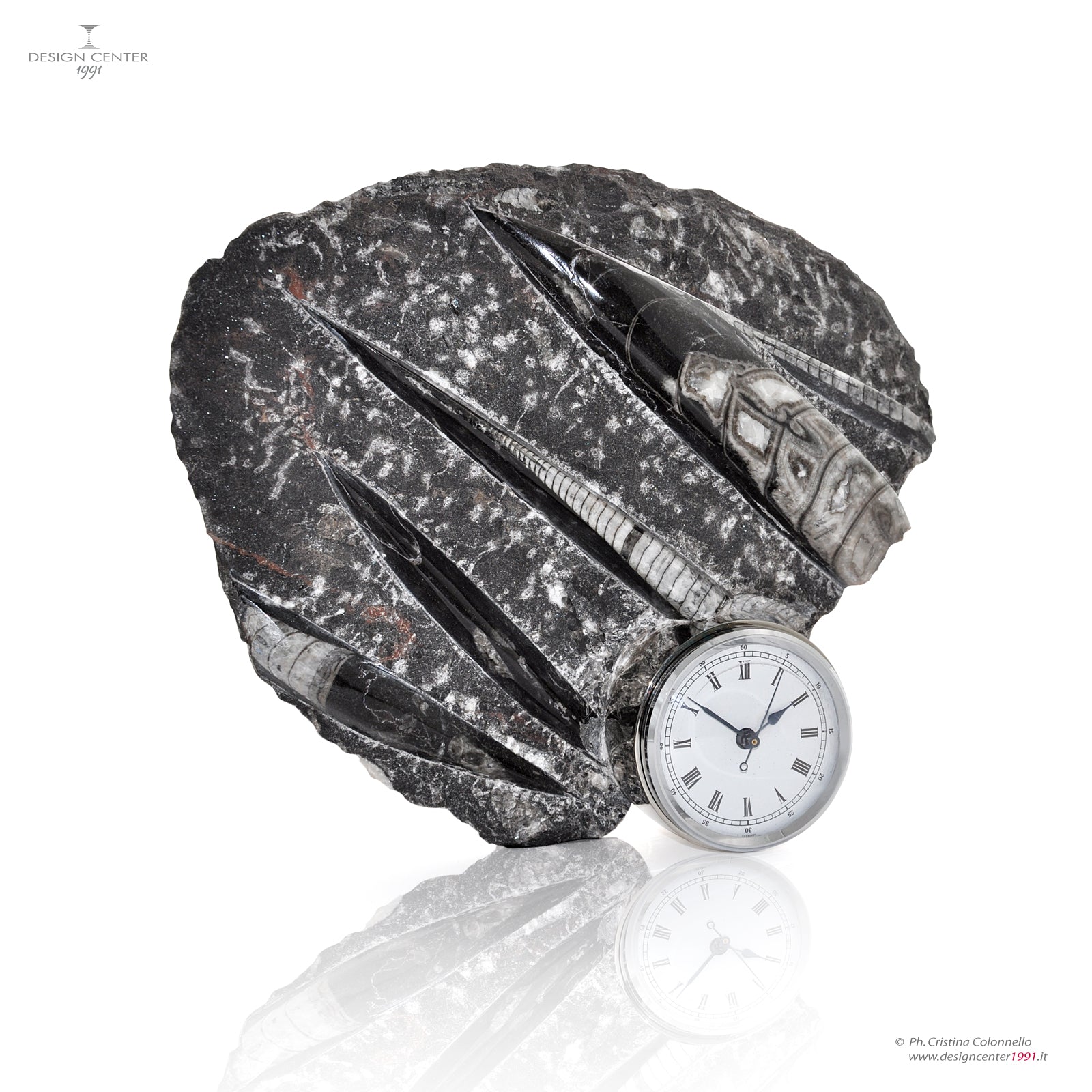 NAUTILUS - Orologio Scultura con Fossili autentici - Design Nino Basso  Pezzo unico