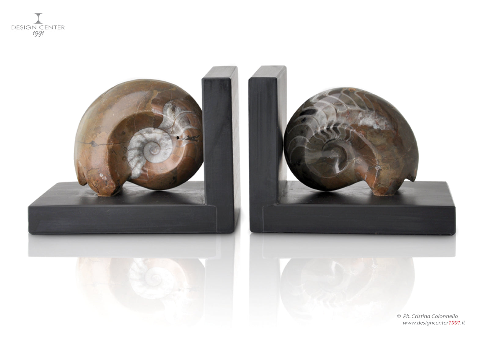 Coppia reggilibri "Fossiline" in ardesia e ammoniti autentiche - Pezzo unico